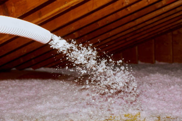 Best Basement Insulation  in Worland, WY